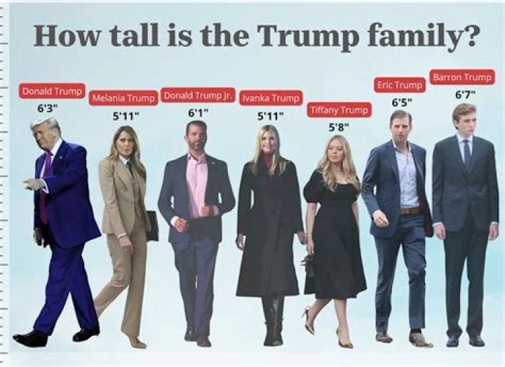 Discovering Joel's Height: How Tall Is Joel?