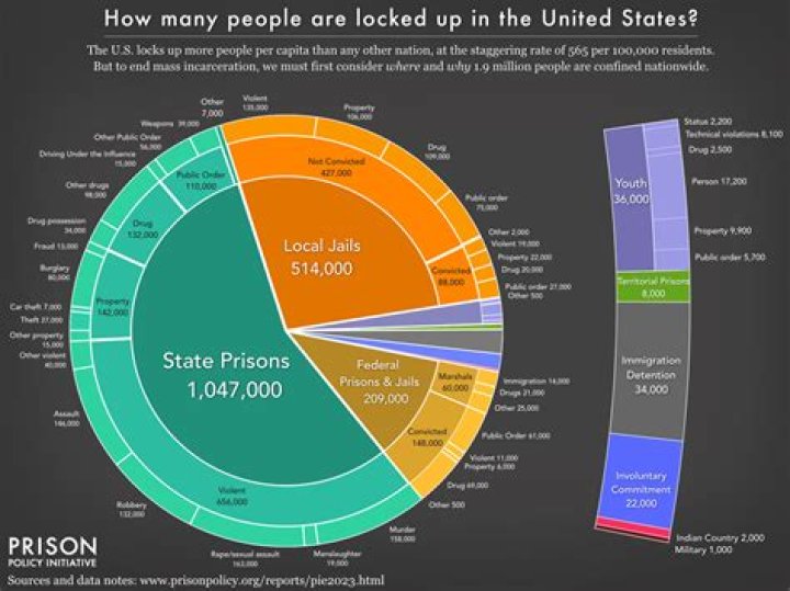 Is Molly Nobilit Incarcerated: Truth Revealed