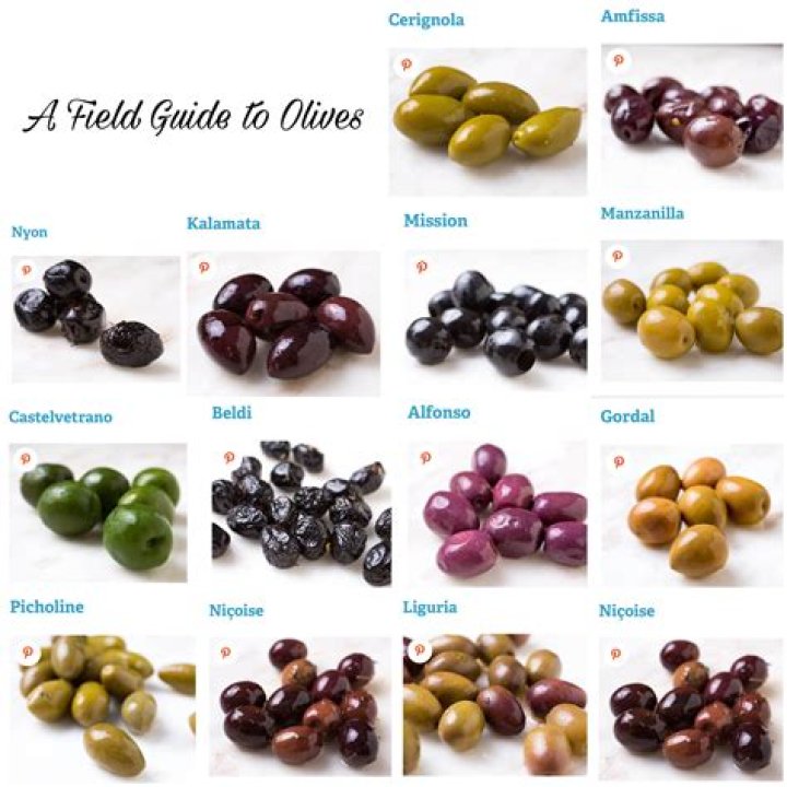 The Ultimate Guide To Nasroui: A Versatile And Flavorful Olive Variety
