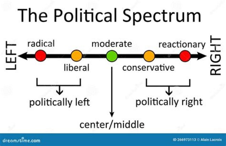 Tyler Hubbard's Political Views: Examining The Conservative Label