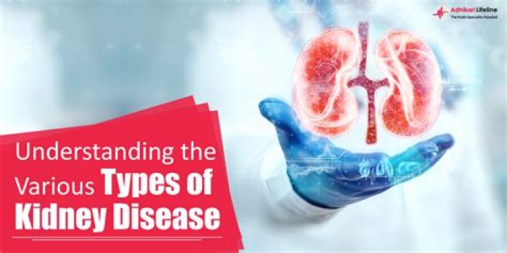 Understanding Kidney Operation Scars: What To Expect