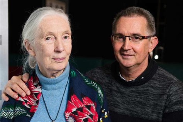 Unveiling The Life Of Hugo Eric Louis Van Lawick